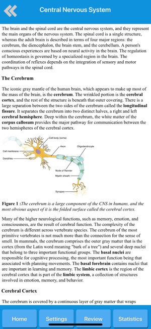 Human Nervous System Anatomy(圖3)-速報App