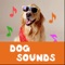 Do you have a baby who loves learning animal sounds