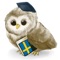 Learn Swedish is a simple app for anyone who wishes to learn Swedish fast and easy