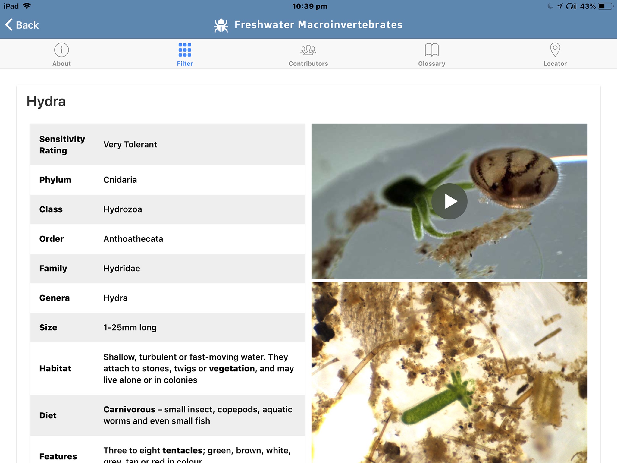 Freshwater Macro Invertebrates screenshot 3
