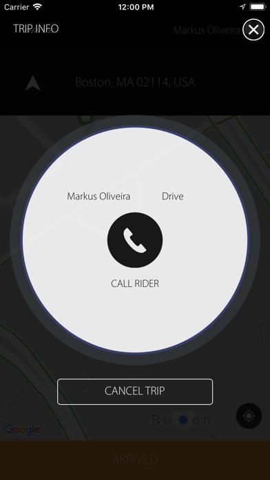 Drive Driver screenshot 4