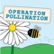 Race to save the pollinators