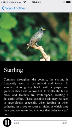 NZ Bird Calls(圖6)-速報App