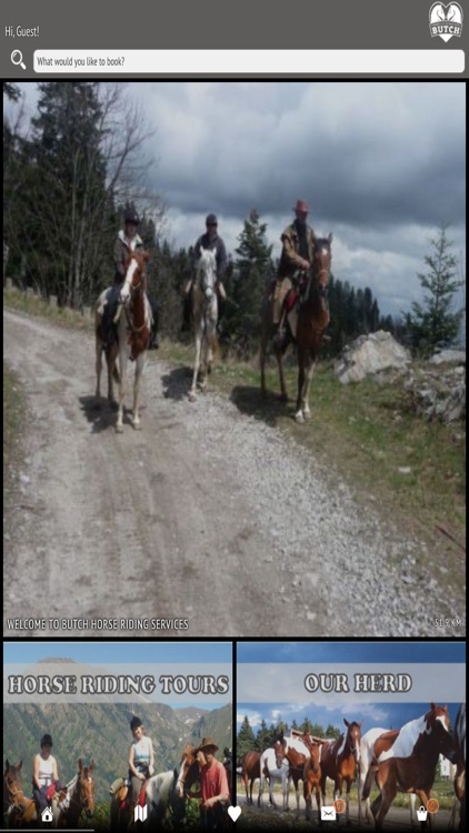 Butch Horse Riding Borovets