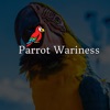 Parrot Wariness