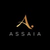 Assaia Inc