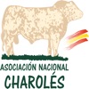 Asociación Charolés de España