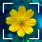 Identify flowers INSTANTLY, ACCURATE, FREE, and CONVENIENT