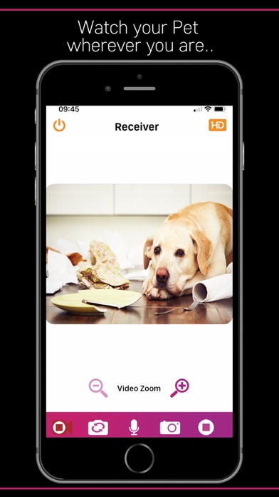 PetCam App - Dog Camera App screenshot 3