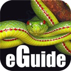 Top 8 Photo & Video Apps Like Snakes eGuide - Best Alternatives