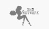 The SHN Network