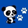 Panda Show en VIVO