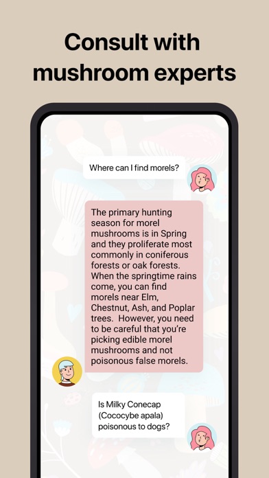 Picture Mushroom - Mushroom IDScreenshot of 5