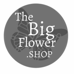 The Big Flower Shop