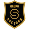 Grupo Segtron