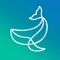 The Ocean Purpose Project app immerses you into a blue ocean of solutions and possibilities in ocean conservation and prevention of water pollution