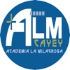 Academia La Milagrosa de Cayey