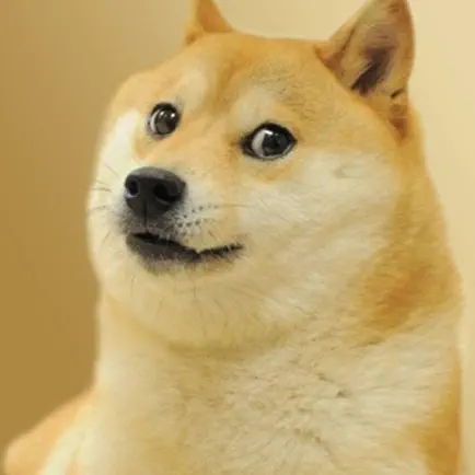 Doge Читы