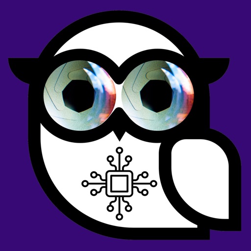 deviceOwl: Find Spy Devices Icon