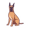 Great Dane Stickers