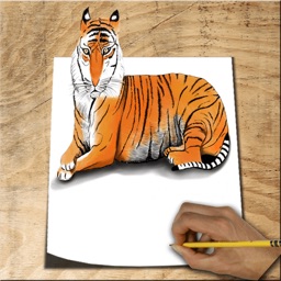 How to Draw Animals 3D