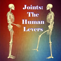 Joints: The Human Levers