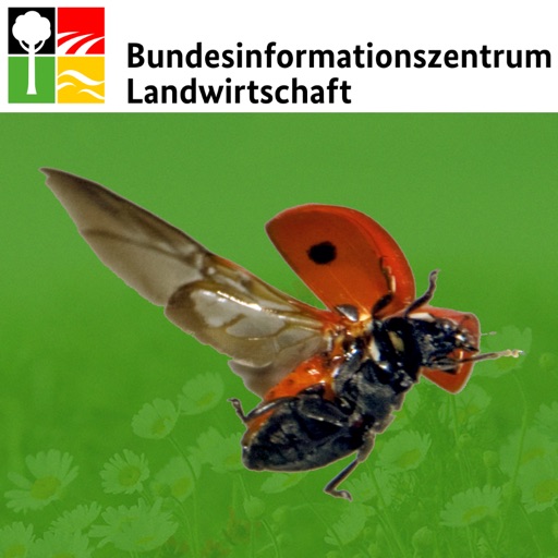 Nützlinge im Garten Download