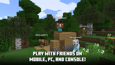 Minecraft – Pocket Edition screenshot 4