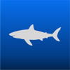 The Great White App - Sustainable Oceans Society