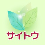 サイトウ 公式