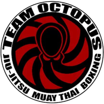 Team Octopus Virtual Читы