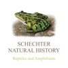 Reptiles & Amphibians of NA