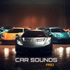 Car Sound Pro