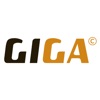 Giga2003