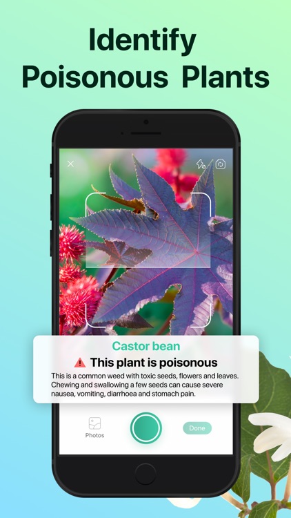 PictureThis - Plant Identifier by Glority Global Group Ltd.