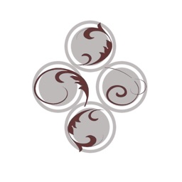 Original Physical Therapy