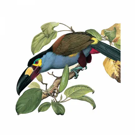 Birds of Ecuador - Field Guide Читы