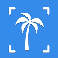 e Palm