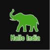 Hallo India & Pizza Town