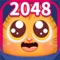 Icon TOYCAT 2048