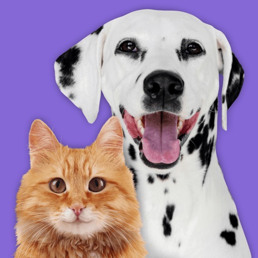 Pet Parade: Cutest Dogs & Cats Download