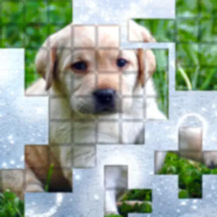 PicPu - Dog Picture Puzzle Читы