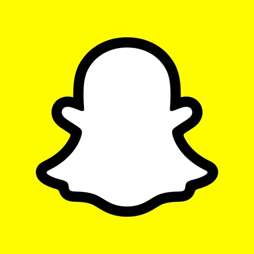 idiot  Search Snapchat Creators, Filters and Lenses
