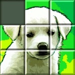 Grid Puzzles