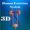 ‘Human excretory system’ app provides an interesting way of learning, comprehending and understanding the very vital system of human body that enables us to excretion