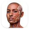 Complete Anatomy 23 - 3D4Medical from Elsevier