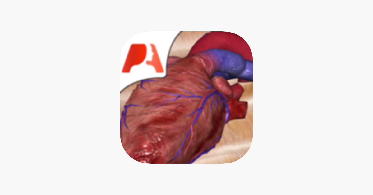 Pocket Heart on the App Store