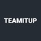 Icon Teamitup