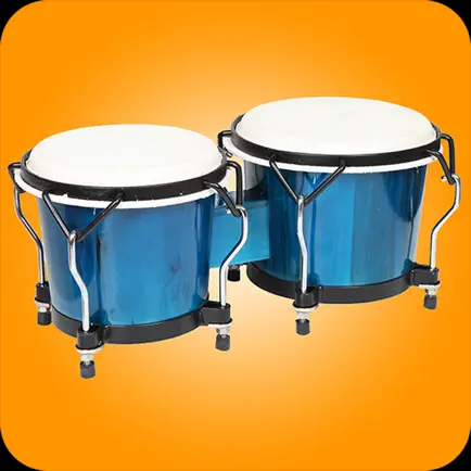 CONGAS & BONGOS: перкуссия Читы