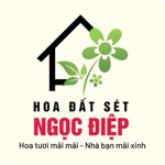 Hoa Đất Sét Ngọc Điệp